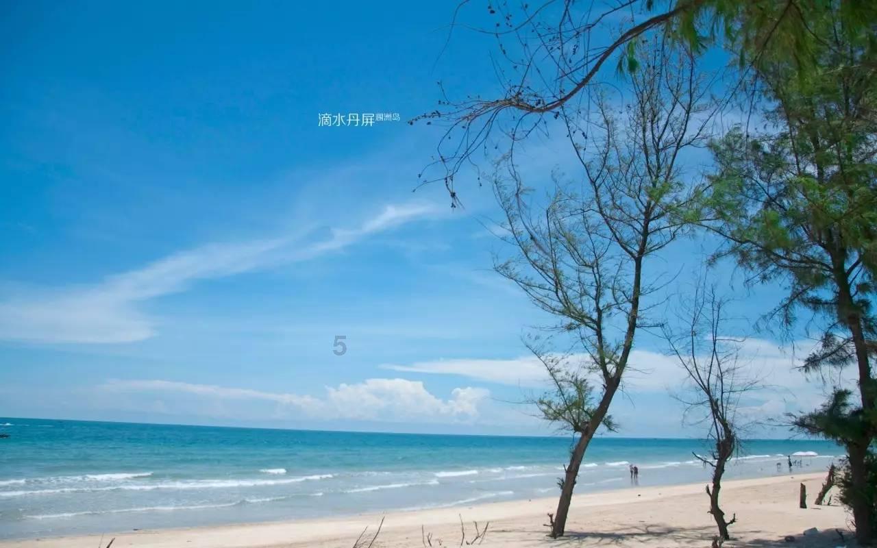 浙江德清:百年“花生龙灯”舞起,莫干山年俗文化节开幕