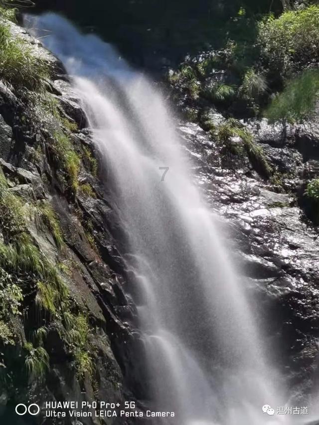 世界杯卡通足球大赛2